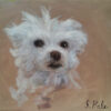 Dog portrait paintings, pet portrait artists, dog portrait artists