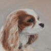 Dog portrait artists, pet portrait artists, dog portrait paintings