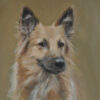 Pet portrait artists, dog portrait painting, dog portrait artists