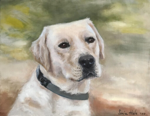 Pet portrait artists, dog portrait painting