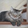 Cat oil portrait, pet portrait, cat portrait, oil painting of cat, cat art