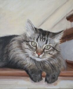 Cat oil portrait, pet portrait, cat portrait, oil painting of cat, cat art