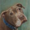 pet portraits, dog portraits, oil portraits of dogs, best pet portrait artists, Boston pet portraits