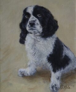 dog portrait artist, oil pet portraits, best pet portraits, sprocker spaniel pet portrait