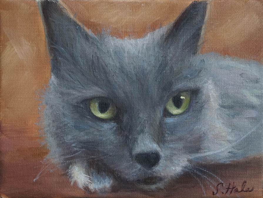 Cat oil portrait, cat portrait artist, pet portraits from photos